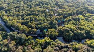 萨三吉尔Brook Ville的森林空中景观与桥梁