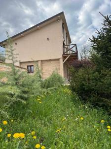 una casa en una colina con un campo de flores en Bora kuće na reci, en Belgrado 17 fotos más