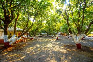 Gallery image of Brook Ville in Sasan Gir +291 photos