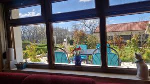 a window view of a patio with a table and chairs at Villa Dona Bella in Donji Bitelić