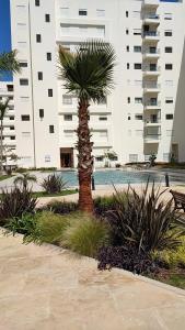 a palm tree in front of a building at Appartement Haut standing et Piscine in Tangier