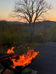 a fire pit on a deck with a tree in the background at Lerags glen farm pods in Lerags