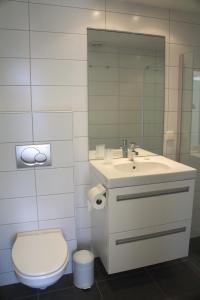 a bathroom with a toilet and a sink and a mirror at De Kastanje Ouddorp in Ouddorp