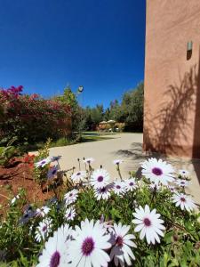 Φωτογραφία από το άλμπουμ του Villa Azuréa with pool 4 bedrooms and 2 living rooms σε Ourika