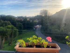 a balcony with a flower pot on a street at Villa Buganvilla in Arnuero