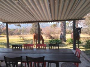 a horse standing under a shelter with a table and chairs at Ntra Sra de los Angeles in Salta