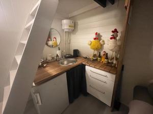 a small kitchen with a sink and chickens on the counter at Bekkvang Fjøs Tiny House in Trysil