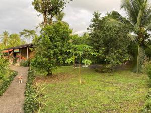 Gallery image of Sonona jovi in Nuquí