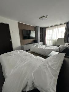 a hotel room with two beds and a television at Biverse Prestige in Petrila