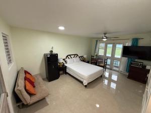 Orange BayNegril beachfront oceanview studios 164 & 145的一间带床、沙发和电视的卧室