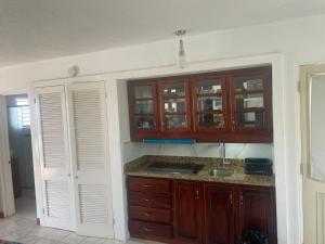 Orange BayNegril beachfront oceanview studios 164 & 145的带木质橱柜和水槽的厨房