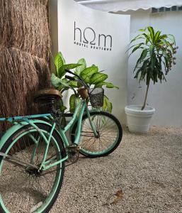 a green bike parked next to a tree at HOM Hostel Boutique in Playa del Carmen +41 photos