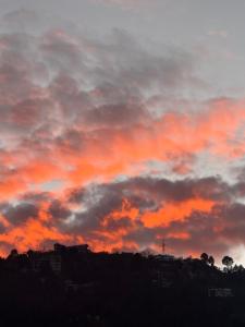 Fotografie z fotogalerie ubytování Doctor Kush Stay Cafe Music v destinaci Rāmgarh + 58 fotografií