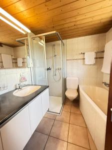 a bathroom with a sink and a shower and a toilet at Fewo 'Alpegärtli' BeO Apartments in Unterbach +30 photos
