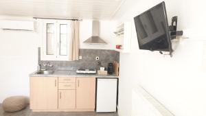 Köök või kööginurk majutusasutuses ELENA APARTMENTS ITHACa