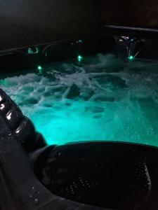 Bazén v ubytovaní Les Randogodilleurs avec Jacuzzi à 2kms des pistes et 350m du Théatre du Peuple ! alebo v jeho blízkosti
