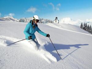 Penthouse in Niederau near Ski Lift v zime