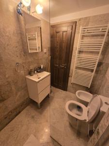 een badkamer met een toilet, een wastafel en een spiegel bij OLE Apartment - CENTRAL - Parking included in Timişoara +21 foto's