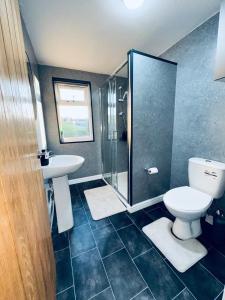 a bathroom with a toilet and a sink and a shower at SwankyApartmentDudleyNearM6 in Coseley