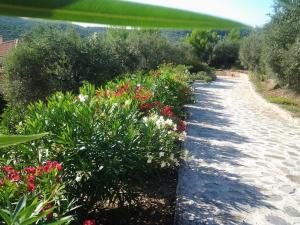 a garden path with flowers and plants at Elies Houses in Agnontas