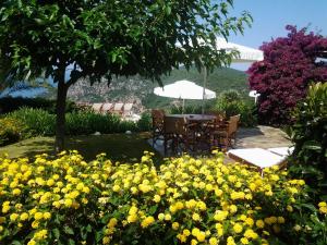a table and chairs in a garden with yellow flowers at Elies Houses in Agnontas
