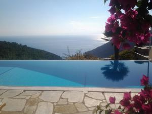 a swimming pool with a view of the ocean at Elies Houses in Agnontas