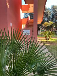 La Perla di Alghero في ألغيرو: نخلة أمام المبنى