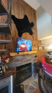 a living room with a tv and a fireplace at Mountain View Retreats in Gatlinburg