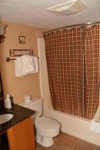 a bathroom with a toilet and a shower curtain at Mountain View Retreats in Gatlinburg +49 photos