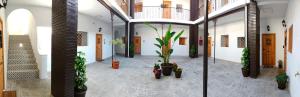 Fotografia z galérie ubytovania Suite San Mateos 15 v destinácii Jerez de la Frontera