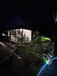Fotografie z fotogalerie ubytování Rangiroa Guest Paradise v Avatoru