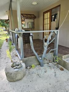 Fotografie z fotogalerie ubytování Rangiroa Guest Paradise v Avatoru
