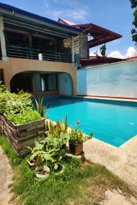 Bazén v ubytování Larosa Hostel Puerto Princesa nebo v jeho okolí