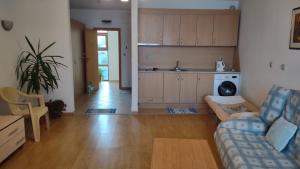 Kuchyň nebo kuchyňský kout v ubytování Sozopol Sunrise + 18 fotografií