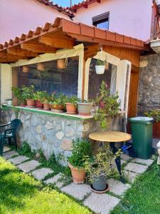 Galería fotográfica de Villa Makri en Mákri 27 fotos más