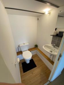 ラモンビル・サン・タニュにあるT3 atypique au rez de chausséeのトイレと洗面台のある小さなバスルーム +5枚の写真