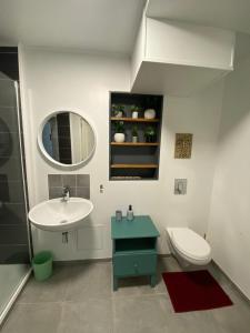 ラモンビル・サン・タニュにあるT3 atypique au rez de chausséeの洗面台、トイレ、鏡のあるバスルーム