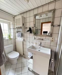 une salle de bain avec un lavabo, des toilettes et un miroir dans l'établissement Ferienhof-Wohler-Wohnung-1, à Bojendorf