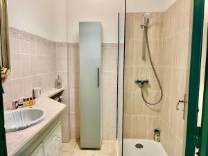 a bathroom with a shower and a sink at Les Bleuets in Cagnes-sur-Mer