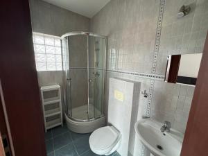 a bathroom with a shower and a toilet and a sink at Tasarz 2 in Rewal
