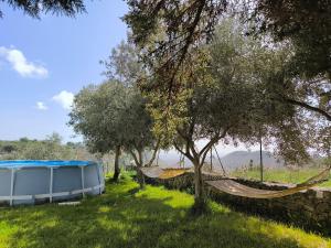 a hammock in a field next to a tree at Casa dei Mori oasi di pace in San Corrado di Fuori
