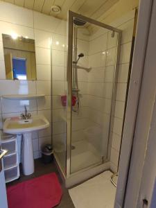 un baño con ducha y lavabo en Gite le Buron, en La Bourboule