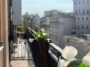 a potted plant sitting on the ledge of a balcony at Luxury Suite Monti Quirinale in Rome +15 photos