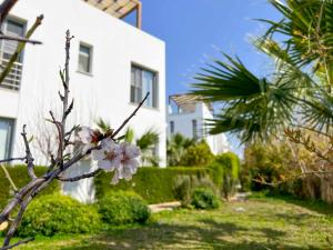 a tree with white flowers in front of a building at Olive Branch by HolidayKeys in Ayyorgi +22 photos
