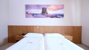 Postel nebo postele na pokoji v ubytování Albergo Ristoro Sitten - 2300 mt