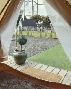 a potted plant sitting on a wooden floor in a tent at Carrowmena School House & Glamping in Limavady