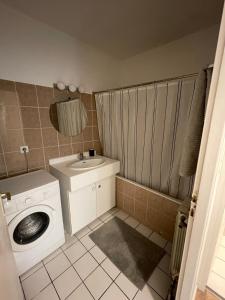 un bagno con lavatrice e lavandino di Capbreton 2 bedroom apartment between forest and beach a Capbreton