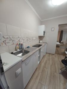 Kuchyňa alebo kuchynka v ubytovaní Ilona Apartman