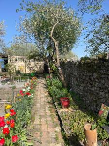 Zahrada ubytování B&B chez Sylvain