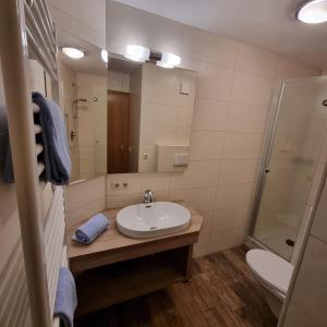 Un baño con lavabo, ducha e inodoro. en Haus Hopferwald, en Hopferau